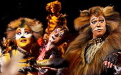 Мюзикл «Cats!». Фото пресс-службы компании «Стейдж Энтертейнмент»